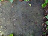 image of grave number 810682